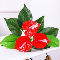 uploads/erp/collection/images/Home Garden/CongDing/XU0610521/img_b/XU0610521_img_b_1